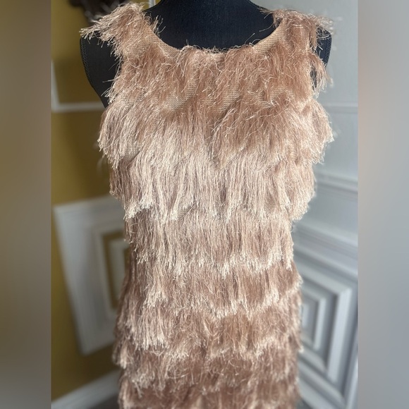 ZARA Collection Elegant Tan Fringe Dress - Picture 3 of 8